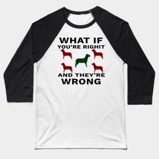 What If You're Right And They're Wrong Baseball T-Shirt